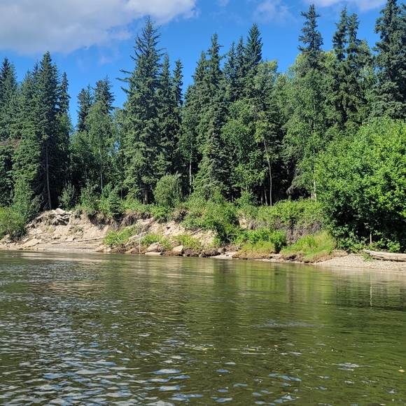 Meet your Posher, Monica - Picture 3 of 3